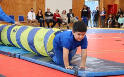 Revista de Gimnasia 2025